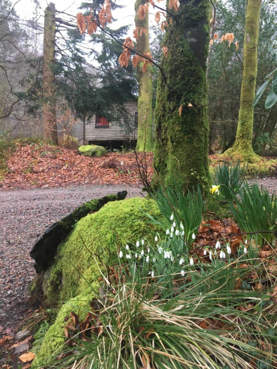 Villa Woodland Cabins, Glencoe Ballachulish Exterior foto